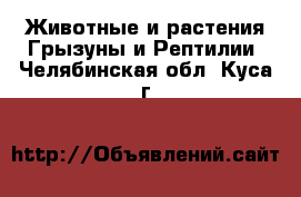 Животные и растения Грызуны и Рептилии. Челябинская обл.,Куса г.